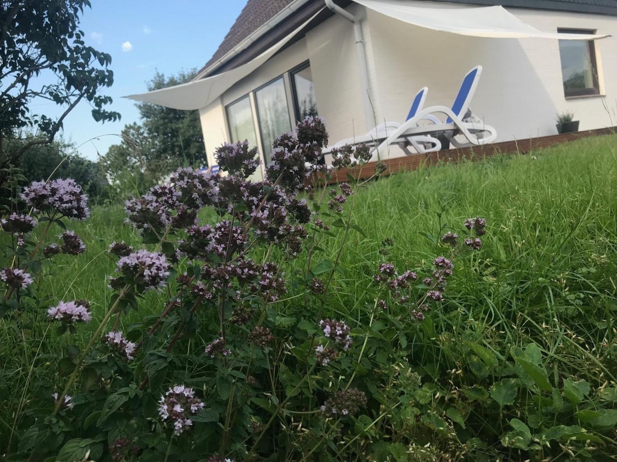 Casa Marcu Wohnung 2 Eg Landkirchen エクステリア 写真